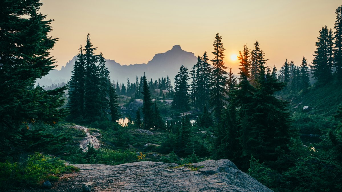 sergei-a--heLWtuAN3c-unsplash.jpg
